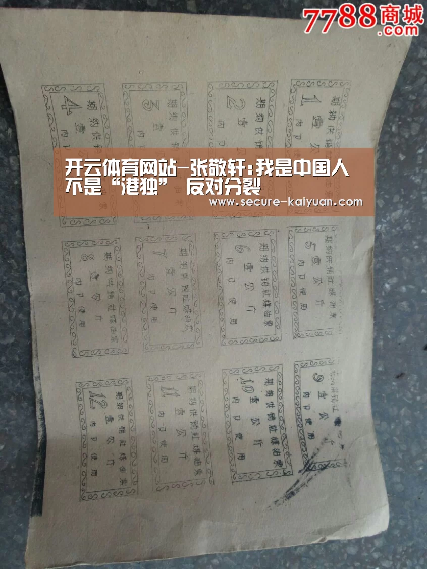 开云体育网站-张敬轩:我是中国人不是“港独” 反对分裂(图2) 开元体育