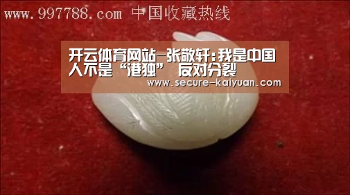 开云体育网站-张敬轩:我是中国人不是“港独” 反对分裂(图1) 开元体育